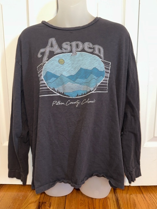 American Eagle Outfitters Tops - Aspen Graphic Mountain Long Sleeve Tee Tshirt- Charcoal Blue Print Womens XL